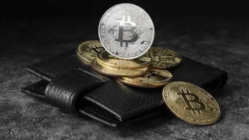 ecrypto1.com crypto wallets