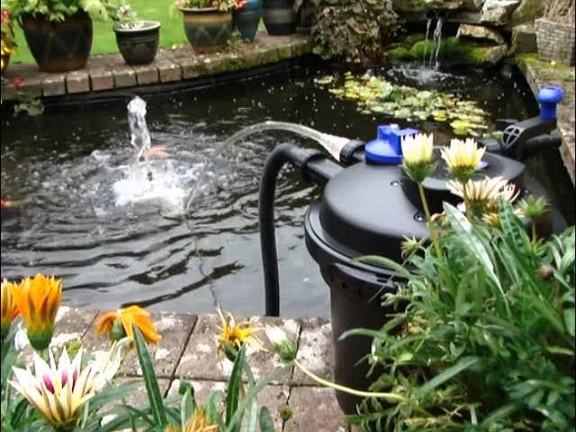 Pond Filter