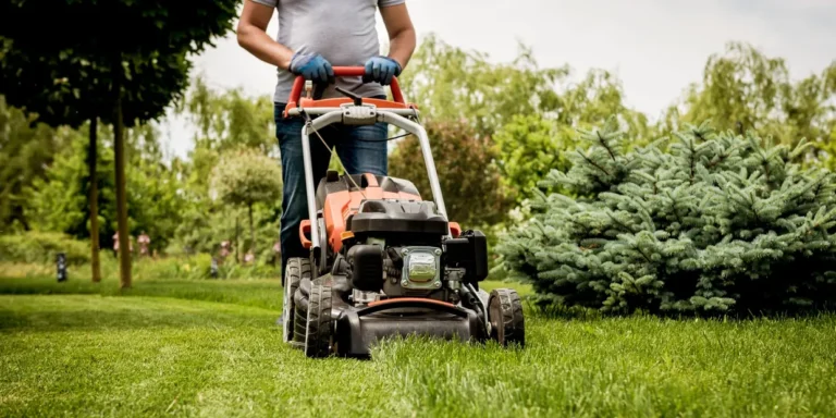 Lawn Care