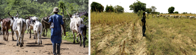 BEHIND THE VIOLENCE: NIGERIA’S COMPLEX CRISIS AND THE FOREIGN MISREADINGS THAT DISTORT IT